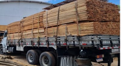 servico-pallet1